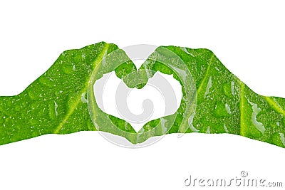 conceptual green hand in heart shape Stock Photo