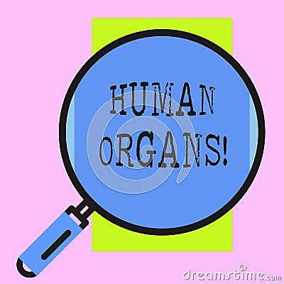 Conceptual hand writing showing Huanalysis Organs. Business photo showcasing The internal genital structures of the Stock Photo