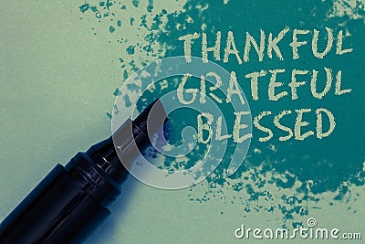 Conceptual hand writing showing Thankful Grateful Blessed. Business photo showcasing Appreciation gratitude good mood attitude Spr Stock Photo