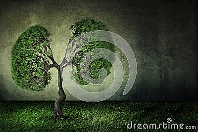 Conceptual image of green tree shaped like human lungs Stock Photo