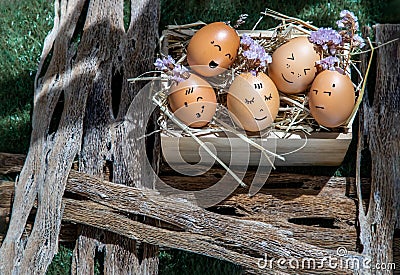 A conceptual image of Group of eggs with various emotions Stock Photo