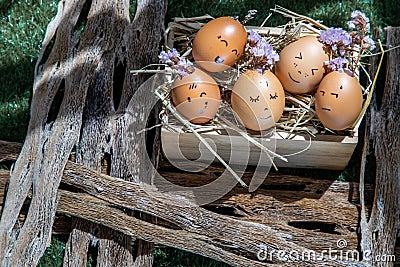 A conceptual image of Group of eggs with various emotions Stock Photo