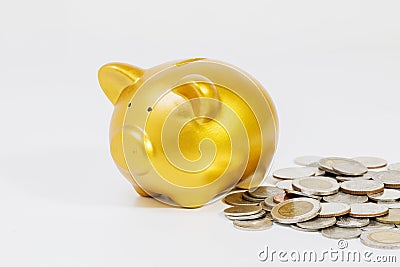 pile of coins close gold piggy bank on white background. Stock Photo