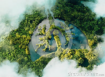 A conceptual image showing a lung-shaped lake in a lush and pristine jungle. Stock Photo