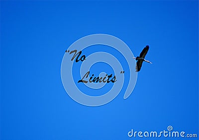 Conceptual, motivational quotes & ideas Stock Photo