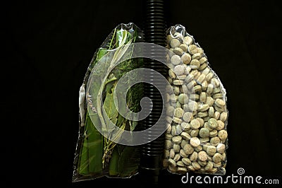 Conceptual photography representing healthy and medicated lungs with green and pills shape of lungs on a black background Stock Photo