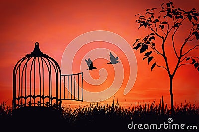 Conceptual scene with birds couple break free from a cage. Freedom and togetherness concept. Birdie released to nature over sunset Stock Photo