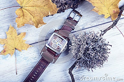 Conceptual Time Yellow Leaves Autumn Year Watch Lichen Hour Zone Cork Leather Strap Stock Photo