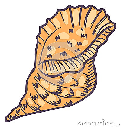 Conch icon. Hand drawn nautical shell sketch Vector Illustration