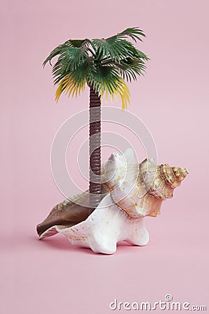 A conch shell used as a metaphor for a tropical island Stock Photo