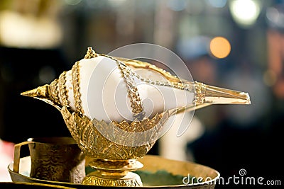 Conch for use in wedding ceremony of Thai Stock Photo
