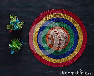 Concha Bread, Mexican Topped Sweet Scone on handmade Tablecloth. Stock Photo