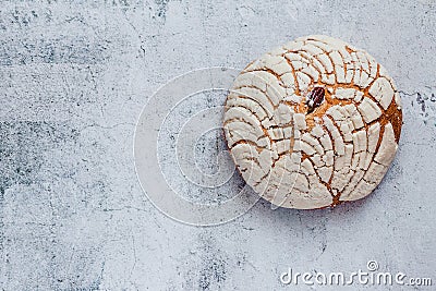 Conchas Mexican sweet bread traditional bakery and breakfast from Mexico Stock Photo