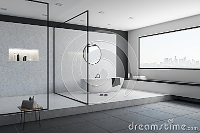 Concrete bathroom interior Stock Photo