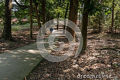 Bike path or trail through woods with a view Stock Photo