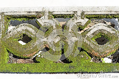 Concrete block is set on a bright concrete floor, during the day, covered with green moss Stock Photo