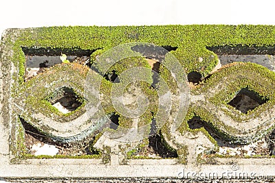 Concrete block is set on a bright concrete floor, during the day, covered with green moss Stock Photo