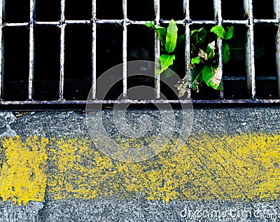 concrete floor and Drainage with yellow line Stock Photo