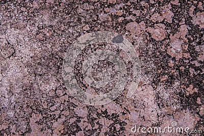 Concrete floor white dirty old cement Stock Photo