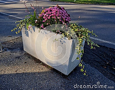 concrete flower pots form an obstacle at the crossing near the Stock Photo