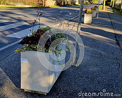 concrete flower pots form an obstacle at the crossing near the Stock Photo