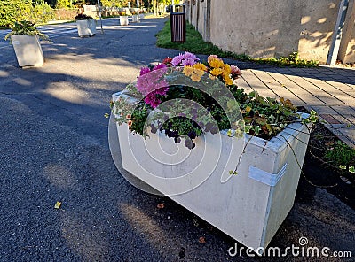 concrete flower pots form an obstacle at the crossing near the Stock Photo