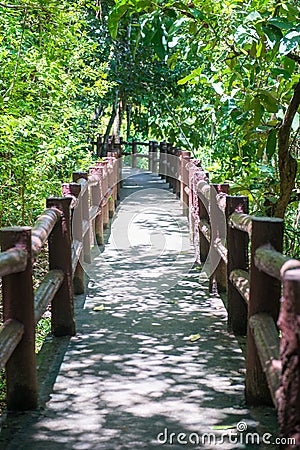 Concrete pathway bridge in forest Stock Photo