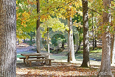 Concrete picnic table in fall Stock Photo