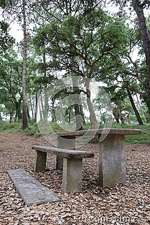 Concrete picnic table and seats in Natural park in Seignosse France. Stock Photo