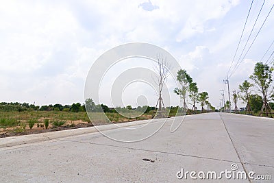 Concrete road with plant and lighing pole Stock Photo