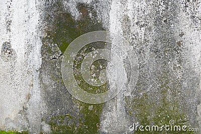 Concrete wall with grunge texture and moss green algae Stock Photo