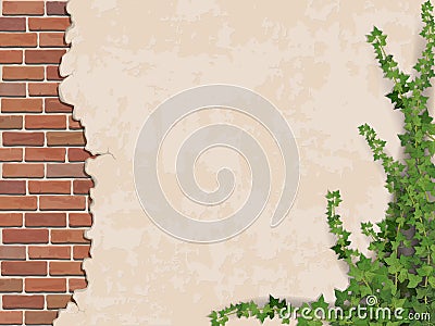 Concrete wall ivy and brick Vector Illustration