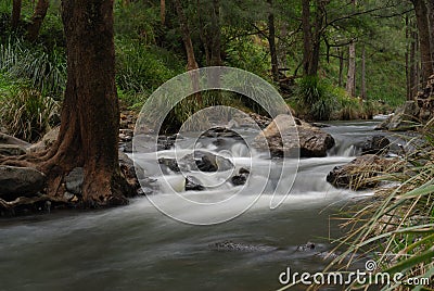 Condamine River QLD Stock Photo