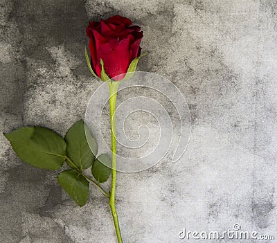 Condolence card - red rose on marble Stock Photo