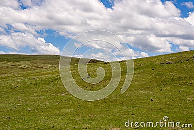 Condon Hills Stock Photo