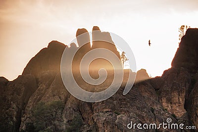 A condor Gymnogyps californianus flying in Pinnacles National Park as sun rays shine through the rock formations. Golden light Stock Photo