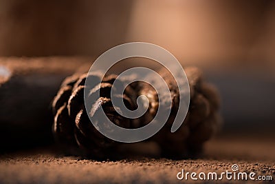 Cone sprinkled with cocoa powder. Macro. Stock Photo