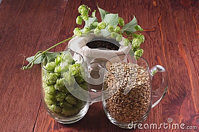 Cones of hops, pale caramel malt in glass mugs and chocolate malt in bag, closeup. Ingredient in craft beer brewing from grain ba Stock Photo