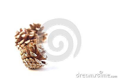 Cones . Christmass and New year concept. Stock Photo