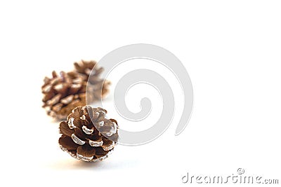 Cones . Christmass and New year concept. Stock Photo