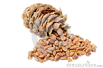 Cones and Nuts of Siberian Cedar Pine Stock Photo