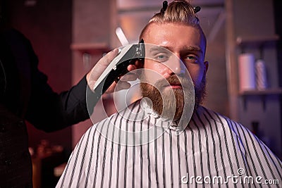 Confident barber mster cuts hair and beard of men in the barbershop Stock Photo