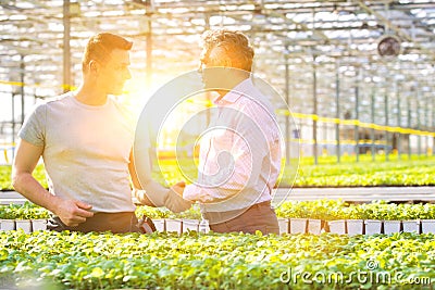 Confident businessman shaking hands with male botanist in greenhouse Stock Photo