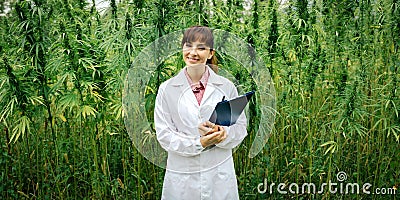 Confident doctor posing in a hemp field Stock Photo