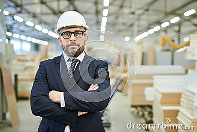 Confident factory investor in hardhat Stock Photo