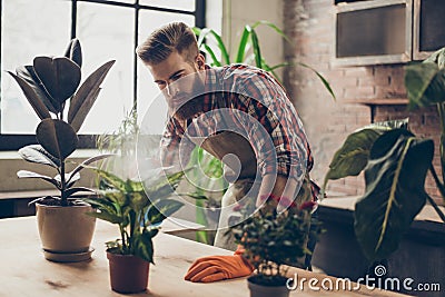 Confident handsome florist with red beard atomizing plants with water Stock Photo