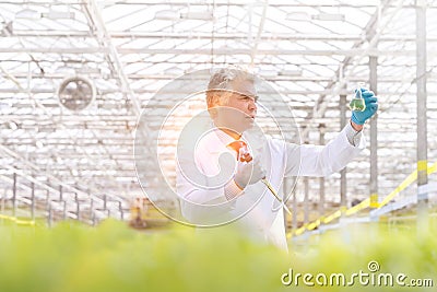 Confident male biochemist examining conical flask while holding pipette in greenhouse Stock Photo