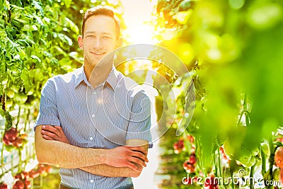 Confident supervisor standing with arms crossed againtst tomatoes growing in greenhouse Stock Photo