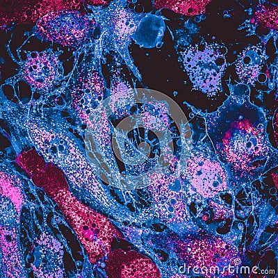 Confocal image of mitochondria Stock Photo