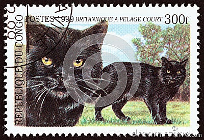 CONGO REPUBLIC - CIRCA 1999: A stamp printed in Congo from the `Cats` issue shows British Shorthair, circa 1999. Editorial Stock Photo